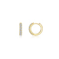 Alexa Huggie Earrings